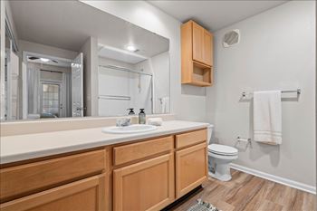 Luxurious bathroom interior